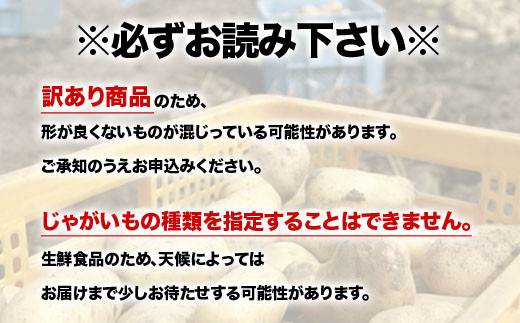 【先行予約】【訳あり】北海道森町産 じゃがいも福袋20kg （2026年8月上旬～12月中旬まで順次お届け） 野菜 ジャガイモ じゃがいも きたあかり だんしゃく 男爵いも とうや メークイン ポテト 北海道 セット 詰め合わせ 福袋 mr1-0145