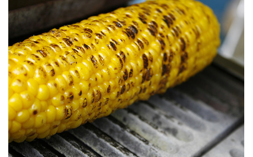 【先行予約】【数量限定】北海道森町産スイートコーン（イエロー）20本（2026年7月上旬～9月中旬頃に順次お届け）とうもろこし トウモロコシ とうきび 野菜 やさい 北海道 ふるさと納税 森町 mr1-0146