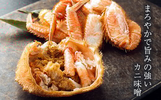 北海道・噴火湾産冷凍ボイル毛ガニ約500g前後×2尾 ＜海鮮問屋　株式会社　瑞宝＞ かに カニ 蟹 ガニ がに 森町 ふるさと納税 北海道 毛蟹 毛かに 毛ガニ 毛カニ mr1-0949