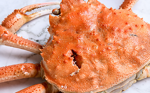 【訳あり】オオズワイガニ（ボイル済） 約4.0kg＜海鮮問屋　株式会社　瑞宝＞ かに カニ 蟹 ガニ がに ずわいがに おおずわいがに 大ずわいがに 森町 北海道 mr1-1223