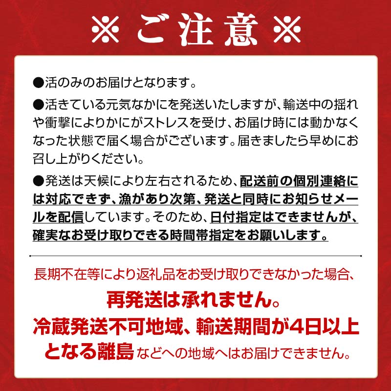 【訳あり】北海道噴火湾産 活オオズワイガニ 3.0kg ＜道産ネットミツハシ＞ かに カニ 蟹 ガニ がに 森町 ふるさと納税 北海道 ずわいがに mr1-0451-5