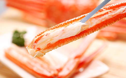 ずわいがに（450g～550g） 4尾入り 北海道森町水揚げ かに カニ 蟹 ガニ がに 森町 ふるさと納税 北海道 ずわいかに ズワイガニ mr1-0926