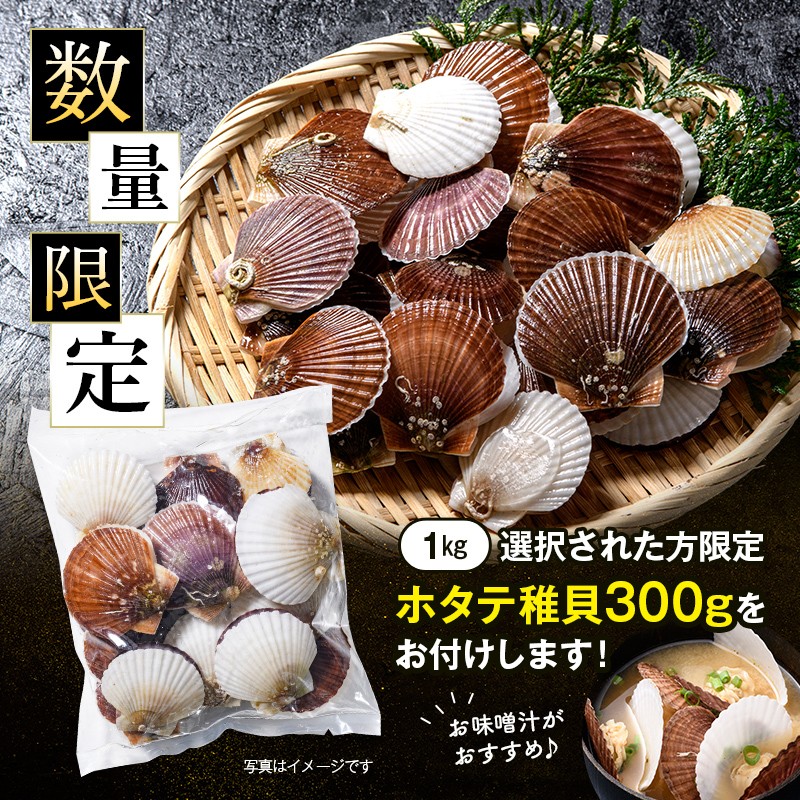 【訳あり】北海道・噴火湾産冷凍ベビーボイルほたて（サイズ不選別品）1kg（500g×2）＋噴火湾産ホタテ稚貝300g 噴火湾 ホタテ ベビーホタテ ほたて 帆立 mr1-1170