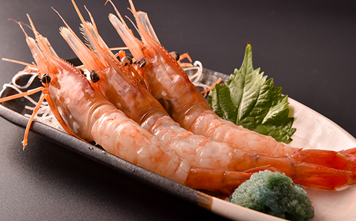 北海道噴火湾産 刺身用 子持ちボタンエビ 500g(12尾~15尾) 北海道産 えび エビ 海老 ぼたんえび ボタンエビ 牡丹エビ 刺身 子持ち 海鮮 冷凍 mr1-1266