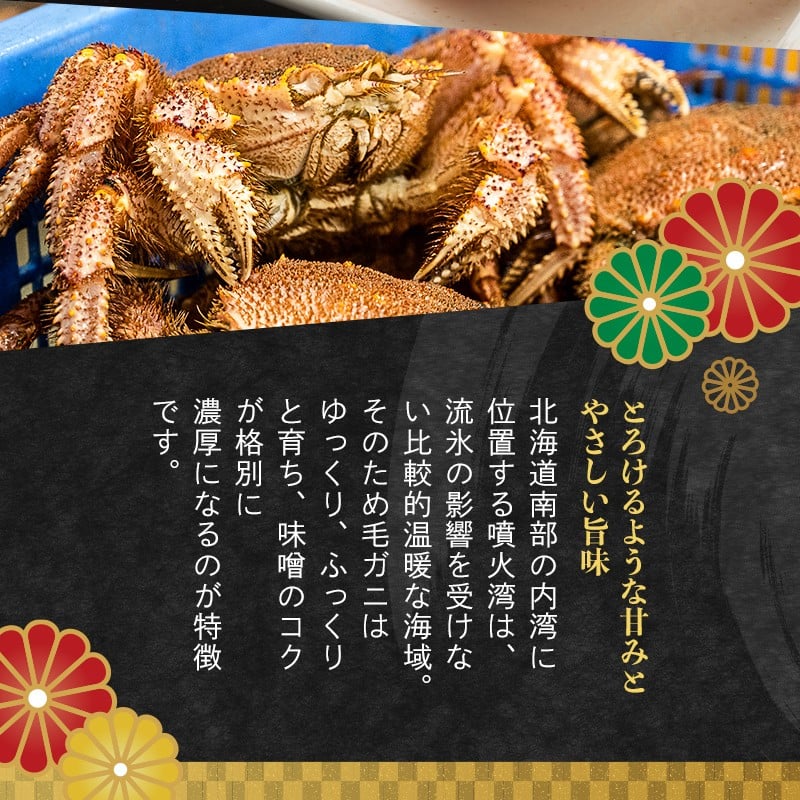 【訳あり】北海道・噴火湾産冷凍ボイル毛ガニ約350g前後×3尾 ＜海鮮問屋　株式会社　瑞宝＞ かに カニ 蟹 ガニ がに 森町 ふるさと納税 北海道 毛蟹 毛かに 毛ガニ 毛カニ mr1-1271
