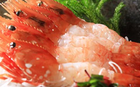 北海道「食の極み」大満喫セット＜ワイエスフーズ＞ 森町  いくら いくら醤油漬け 毛ガニ ぼたん海老 たらこ 冷凍ほたて貝柱 いかそうめん 海鮮セット ふるさと納税 北海道 mr1-0185