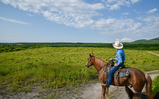 【返礼品なし】北海道森町 もりまち応援寄附金 1,000円 ＜北海道森町＞ 北海道 森町 mr1-0262