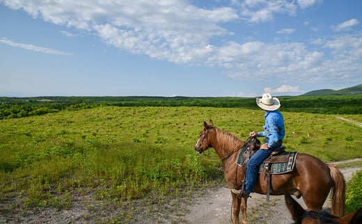 【返礼品なし】北海道森町 もりまち応援寄附金 9,000円 ＜北海道森町＞ 北海道 森町 mr1-0270