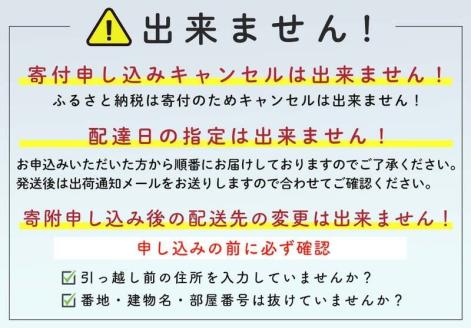 【ほたて好きには堪らないセット】お刺身ほたて 2 kg【化粧箱入】＆噴火湾産大粒味自慢ボイルほたて 1.6 kg＜物産館運営振興会(丸太水産）＞ 海鮮丼 森町 ほたて 帆立 ホタテ 貝柱 海産物 魚貝類 ふるさと納税 北海道 mr1-1231