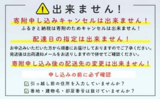 噴火湾産丸ごとホタテ入りハンバーグ ソース付 10個入り ＜株式会社大東エンタープライズ＞ ハンバーグ ホタテ 肉料理 惣菜 加工品 ふるさと納税 北海道 森町 mr1-0816