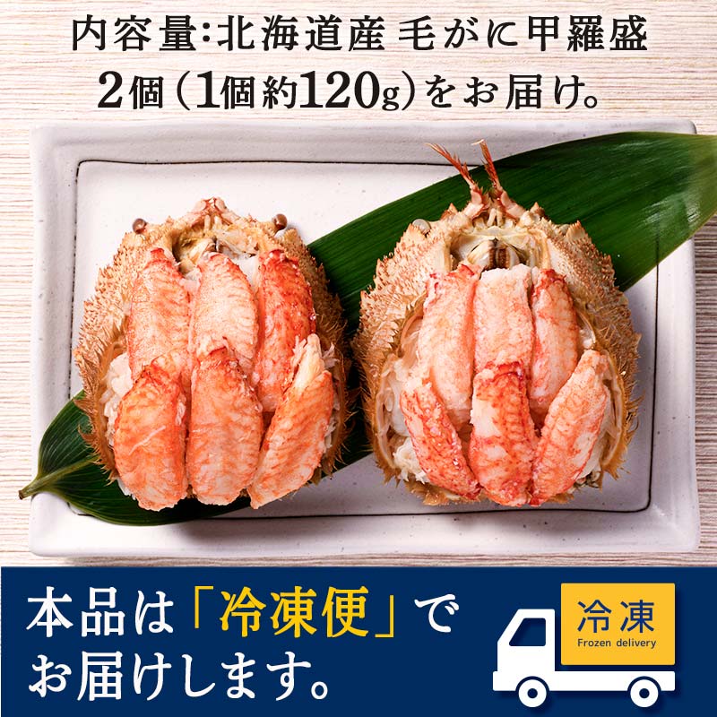 北海道産 毛がに甲羅盛（約120g）×2個※かにみそあり ＜道産ネットミツハシ＞ かに カニ 蟹 ガニ がに 北海道産 甲羅 海鮮 甲殻類 mr1-0958