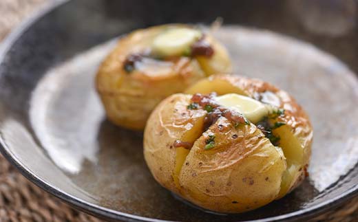 北海道産 アンチョビ90g×2本 魚介 海産物 海鮮 食品 北海道 森町 mr1-1217