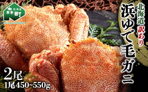 【訳あり】北海道 浜茹で毛がに450～550g 2尾 〈ワイエスフーズ〉 かに カニ 蟹 ガニ がに 森町 ふるさと納税 北海道 毛蟹 毛かに 毛ガニ 毛カニ mr1-0913