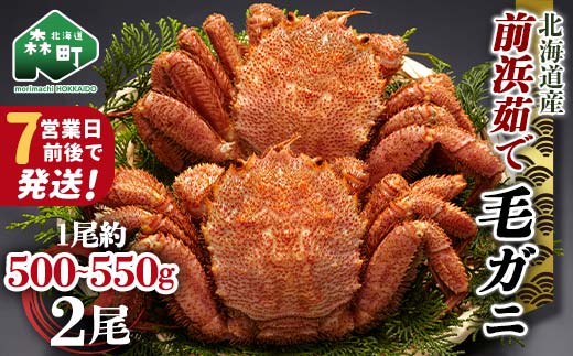 【7営業日前後で発送】北海道 毛ガニ 前浜茹で毛がに 約500g~550g 2尾 かに カニ 蟹 ガニ がに 森町 毛蟹 毛かに 毛がに 毛カニ 毛ガニ mr1-0687-1