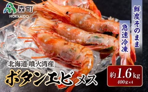 北海道噴火湾産ボタンエビメス400g×4＜海鮮問屋　株式会社　瑞宝＞ えび エビ 海老 ぼたんえび ぼたん海老 ボタン海老 ボタンエビ ぼたんエビ ボタンえび 牡丹海老 北海道 森町 mr1-0531