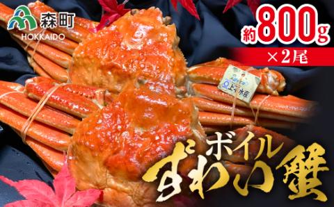 ボイルずわい蟹（約800g×2尾） ＜上平水産＞ かに カニ 蟹 ガニ がに 森町 ふるさと納税 北海道 ずわい蟹 ずわいかに ズワイガニ ズワイカニ mr1-0134