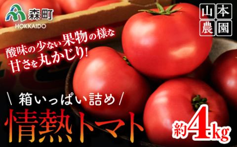 【先行予約】箱いっぱい詰め！情熱トマト 約4kg（9月下旬より順次発送）《山本農園》 森町 トマト 北海道産 ふるさと納税 北海道 mr1-0137