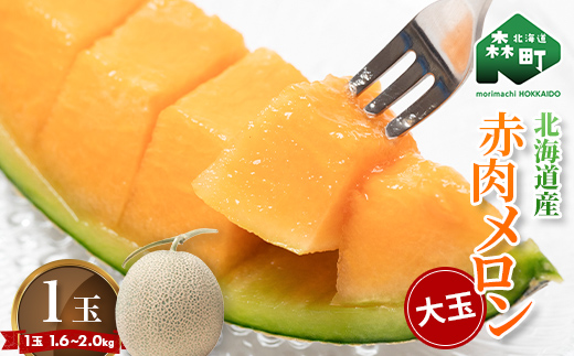 【先行予約】北海道森町産赤肉メロン大玉 1玉（約1.6～2kg）（2026年6月上旬～8月上旬頃に順次お届け）＜道産ネットミツハシ＞  森町 メロン 果物 赤肉 北海道産 mr1-0815