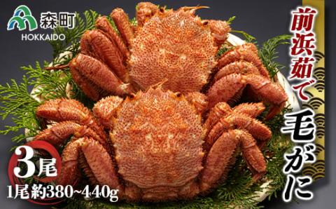 前浜茹で毛がに3尾（約380～440g） ＜株式会社 鳥潟＞ かに カニ 蟹 ガニ がに 森町 北海道 毛蟹 毛かに 毛ガニ 毛カニ 北海道 ズワイカニ ズワイ蟹 ズワイガニ mr1-0153