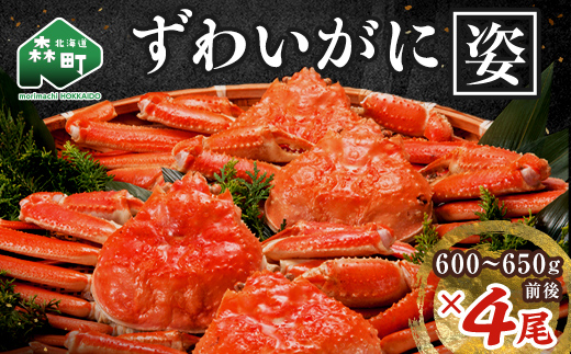 【順次発送】 ずわいがに姿 600～650g前後 4尾 ＜ワイエスフーズ＞ かに カニ 蟹 ガニ がに 森町 ふるさと納税 北海道 ずわいがに ずわいかに ズワイガニ mr1-0853-1