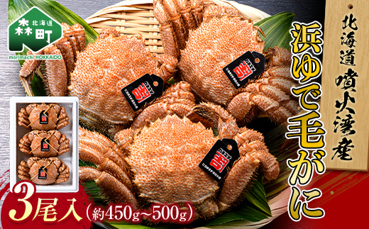 北海道噴火湾産「カネキチ」 浜ゆで毛ガニ 3尾 450g～500g＜カネキチ澤田水産＞ かに カニ 蟹 ガニ がに 森町 ふるさと納税 北海道 毛蟹 毛かに 毛ガニ 毛カニ mr1-1064