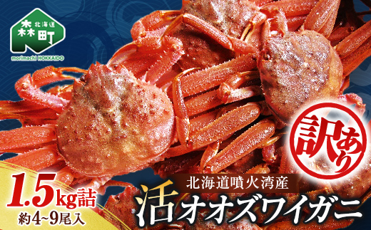【訳あり】北海道噴火湾産 活オオズワイガニ1.5kg ＜道産ネットミツハシ＞ かに カニ 蟹 ガニ がに 森町 ふるさと納税 北海道 mr1-1192