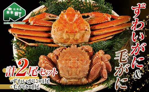 ずわいがに毛がに2尾セット 北海道森町水揚げ かに カニ 蟹 ガニ がに 森町 ふるさと納税 北海道 毛蟹 毛かに 毛ガニ 毛カニ 北海道 ズワイカニ ズワイ蟹 ズワイガニ mr1-1081
