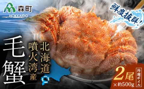 北海道・噴火湾産冷凍ボイル毛ガニ約500g前後×2尾 ＜海鮮問屋　株式会社　瑞宝＞ かに カニ 蟹 ガニ がに 森町 ふるさと納税 北海道 毛蟹 毛かに 毛ガニ 毛カニ mr1-0949
