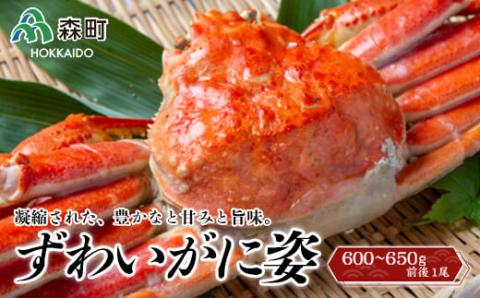 【順次発送】 ずわいがに姿 600～650g前後 1尾 ＜ワイエスフーズ＞ かに カニ 蟹 ガニ がに 森町 ふるさと納税 北海道 ずわいがに ずわいかに ズワイガニ mr1-0852-1