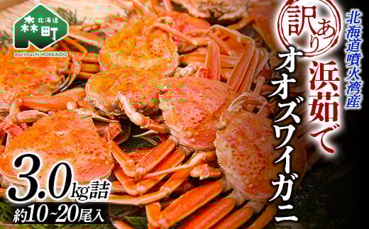 【訳あり】浜茹でオオズワイガニ 3.0kg 詰め込みセット 北海道噴火湾産 ＜道産ネットミツハシ＞ かに カニ 蟹 がに 北海道 森町 mr1-0477