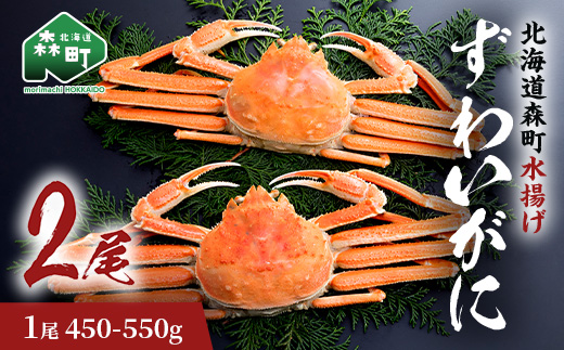ずわいがに（450g～550g） 2尾入り 北海道森町水揚げ かに カニ 蟹 ガニ がに 森町 ふるさと納税 北海道 ずわいかに ズワイガニ mr1-0924