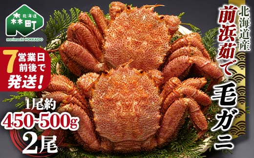 【7営業日前後で発送】北海道 毛ガニ 前浜茹で毛がに 約450g~500g 2尾 かに カニ 蟹 ガニ がに 森町 毛蟹 毛かに 毛がに 毛カニ 毛ガニ mr1-0653-1