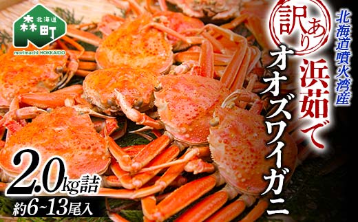 【順次発送】【訳あり】浜茹でオオズワイガニ 2.0kg 詰め込みセット 北海道噴火湾産 ＜道産ネットミツハシ＞ かに カニ 蟹 がに 北海道 森町 ふるさと納税 mr1-1191
