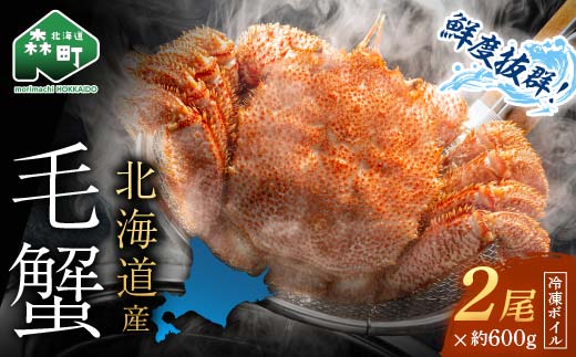 北海道・噴火湾産冷凍ボイル毛ガニ約600g前後×2尾 毛ガニ 毛カニ 蟹 かに かにみそ 海産物 海鮮 森町 mr1-0770