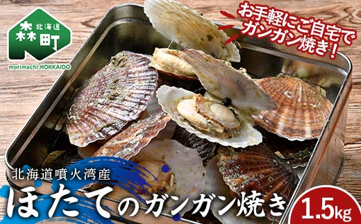 冷凍ほたて(二年貝) ガンガン焼き1.5kg 北海道噴火湾産 海産物 加工品 ほたて 帆立 ホタテ 魚介類 海鮮 森町 ふるさと納税 mr1-0980