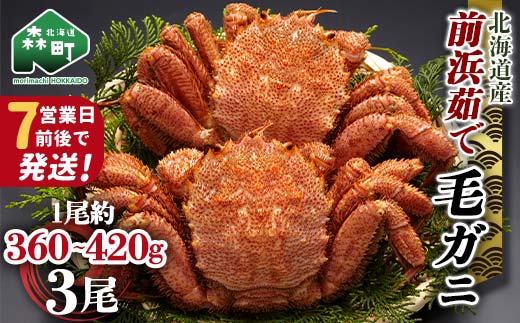 【7営業日前後で発送】北海道 毛ガニ 前浜茹で毛がに 約360g～420g 3尾 かに カニ 蟹 ガニ がに 森町 毛蟹 毛かに 毛がに 毛カニ 毛ガニ mr1-1034