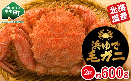 【北海道産】 浜ゆで毛ガニ 約600g (2尾入り) mr1-1059