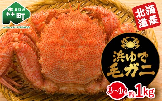 【北海道産】 浜ゆで毛ガニ約1kg（3～4尾入り） mr1-1060