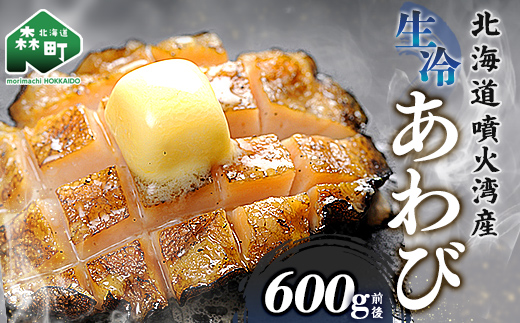 北海道産 生冷あわび 600g前後 (約5~6個) ＜ワイエスフーズ＞ 北海道 あわび 新鮮 魚介類 貝 冷凍 北海道噴火湾産 噴火湾産 森町 お刺身 バター焼き 酒蒸し 炊き込みご飯 mr1-1268