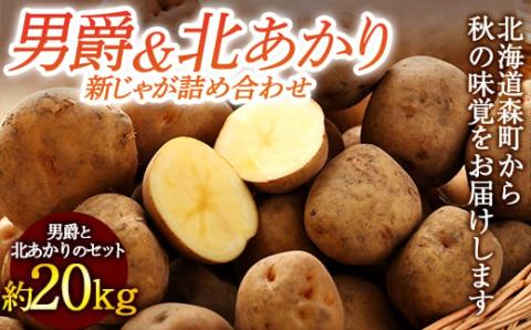 【先行予約】【新じゃが】 北海道の男爵&北あかり約20kg （2023年8月下旬～順次お届け） 野菜 ジャガイモ じゃがいも きたあかり 北あかり だんしゃく 男爵いも フライドポテトmr1-0157