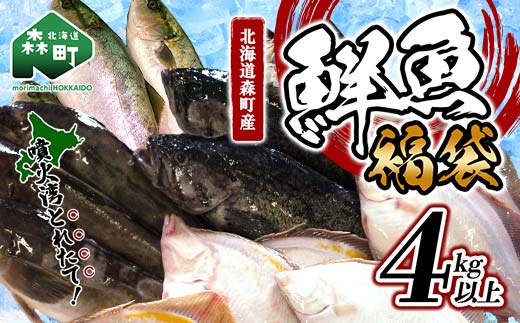 北海道森町産 噴火湾とれたて鮮魚福袋4kg以上 アブラコ（アイナメ） カレイ類 カジカ ソイ ガヤ ニシン 福袋 鮮魚 海鮮 セット 焼き魚 煮付け 鍋 ふるさと納税 北海道 森町 mr1-0149