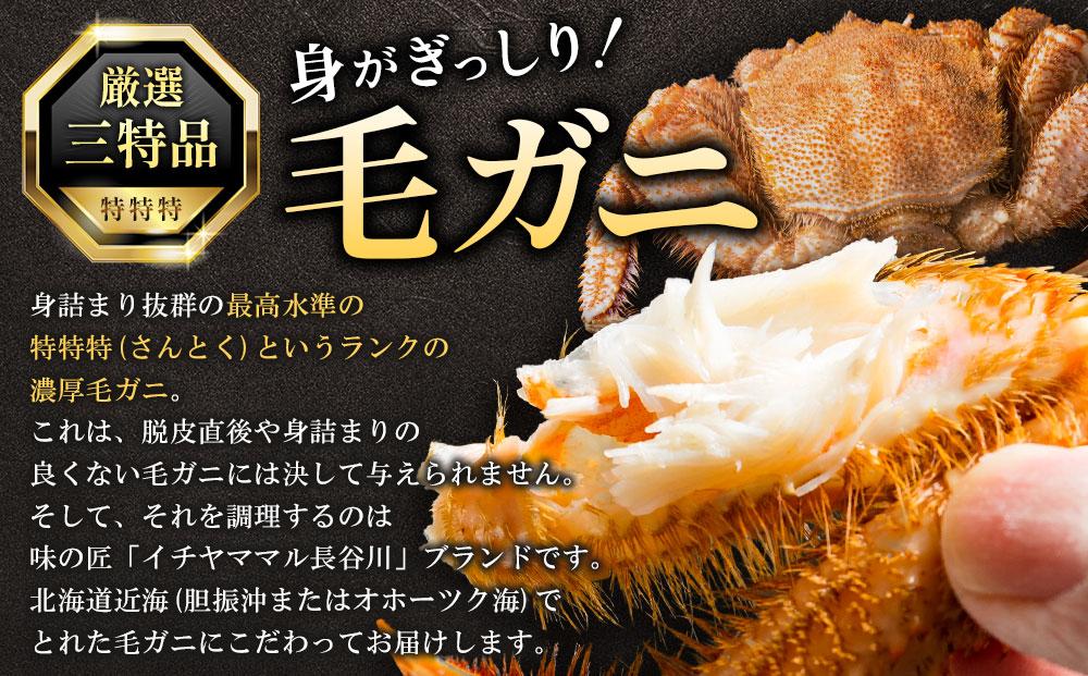先行予約【厳選三特品】北海道産近海毛ガニ800g前後×1尾 2025年9月上旬発送開始予定【 毛がに 北海道 かに 蟹 かにみそ 小分け 毛蟹 海産物 食品 魚介 魚介類 海鮮 お取り寄せ お取り寄せグルメ 冷凍 魚介類 水産物応援 水産物支援 八雲町 北海道   】