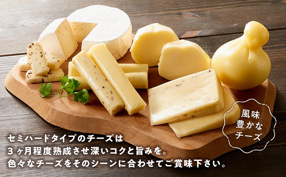 八雲チーズ村　チーズセット【 チーズ チーズセット カマンベール カチョカバロ プチ・ペンケル モッツァレラ 食品 お取り寄せ お取り寄せグルメ 八雲町 北海道 】