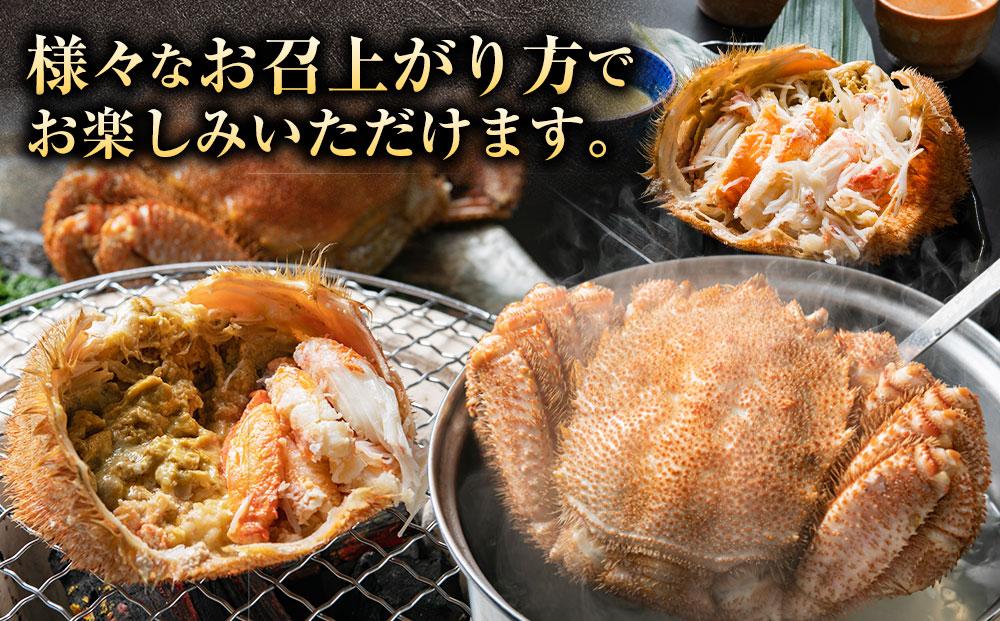先行予約【厳選三特品】北海道産近海毛ガニ550g前後×2尾2025年9月上旬発送開始予定【 毛がに 北海道 かに 蟹 かにみそ 小分け 毛蟹 八雲 海産物 魚介類 水産物応援 水産物支援 】