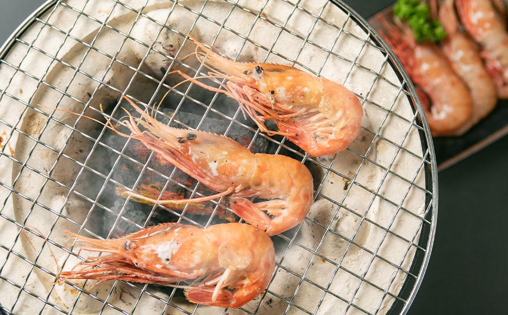 ボタンエビ500g(25尾前後)【 えび エビ 海老 ボタンエビ 牡丹海老 魚介 魚介類 海鮮 冷凍 食品 グルメ お取り寄せ 八雲町 北海道   】