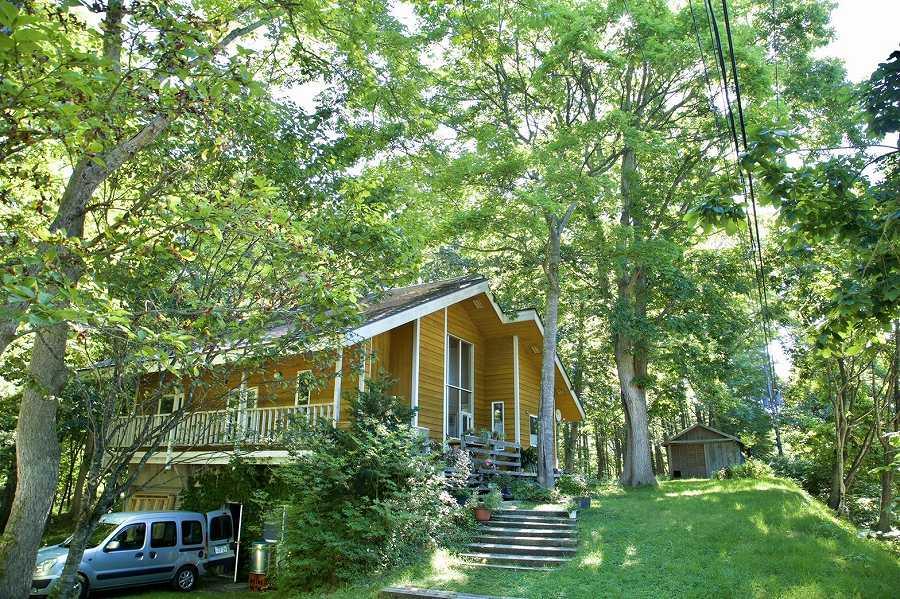 北海道八雲百花はちみつ780g(130g×6本)【ハチミツ はちみつ 蜂蜜 セット 百花はちみつ 百花密 ハニー 食品 お取り寄せ お取り寄せグルメ 八雲町 北海道 】