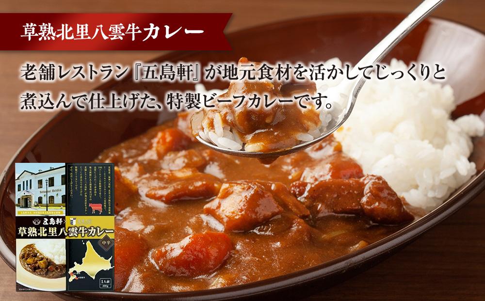 【3回定期便】北里八雲牛 加工品3点詰め合わせセット【 ビーフシチュー カレー コーンビーフ 加工品 肉加工品 定期便 おうちごはん 簡単調理 レトルト 詰め合わせ セット 食品 グルメ お取り寄せ お取り寄せグルメ  八雲町 北海道 】