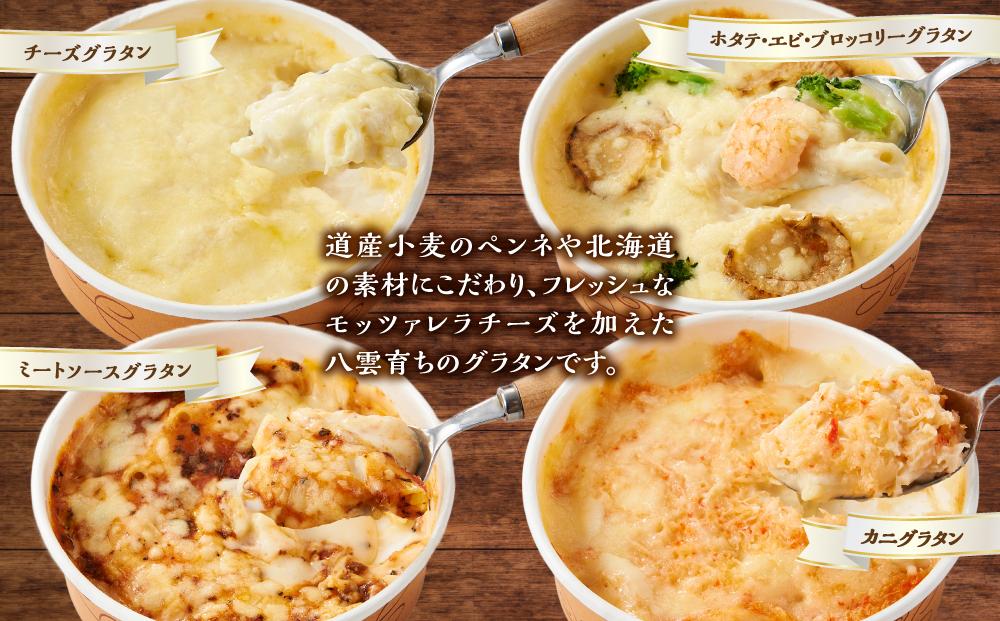 北海道 自家製グラタンセット4種(チーズ、ミートソース、カニ、ホタテ・エビ・ブロッコリー)【 レンジ 温めるだけ 冷凍 冷凍食品 調理済み お手軽 簡単 調理 簡単調理 食卓 ランキング 冷凍食品 おうちごはん 八雲町 北海道 】