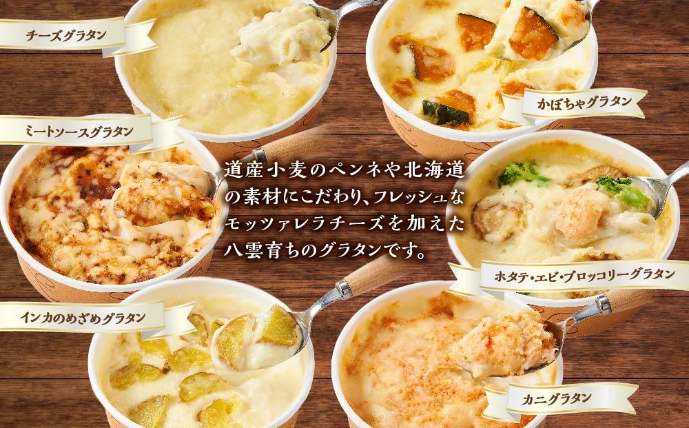 北海道 ピアット自家製グラタンセット6種A(インカのめざめ、かぼちゃ、チーズ、ミートソース、カニ、ホタテ・エビ・ブロッコリー)【 レンジ 温めるだけ 冷凍 冷凍食品 調理済み お手軽 簡単 調理 簡単調理 食卓 ランキング 冷凍食品 おうちごはん 八雲町 北海道 】