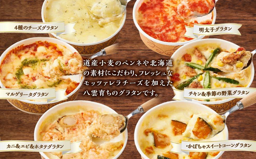 北海道 ピアット自家製グラタンセット6種B(4種のチーズ、マルゲリータ、カニ＆エビ＆ホタテ、明太子、チキン＆季節の野菜、かぼちゃ＆スイートコーン)【 レンジ 温めるだけ 冷凍 冷凍食品 調理済み お手軽 簡単 調理 簡単調理 食卓 ランキング 冷凍食品 おうちごはん 八雲町 北海道 】